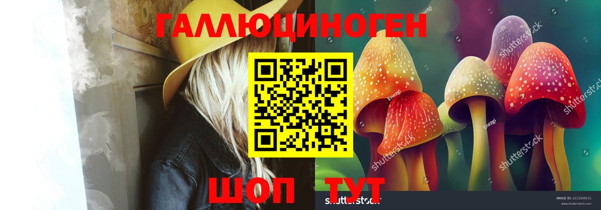 Псилоцибиновые грибы Cubensis Ханты-Мансийск